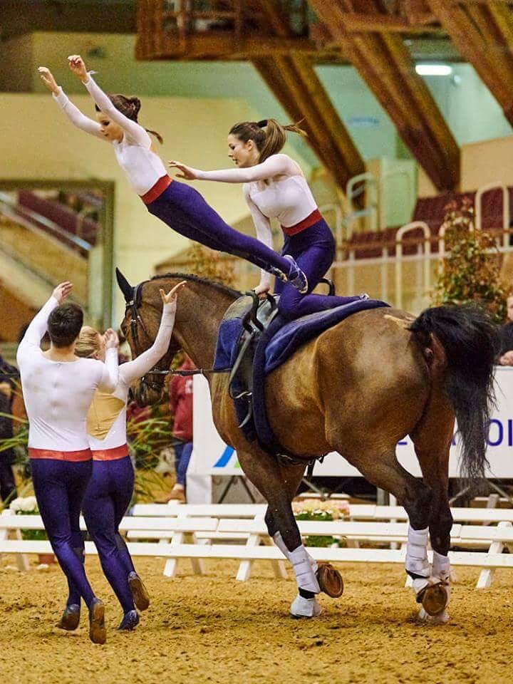 equestrian vaulting